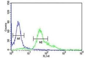 S100A6 antibody flow cytometric analysis of HeLa cells (right histogram) compared to a negative control (left histogram).