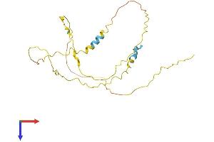 NUCKS1 Protein (AA 1-243) (His tag)