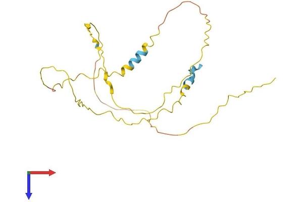 NUCKS1 Protein (AA 1-243) (His tag)