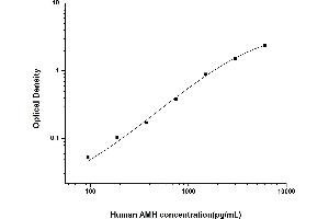 AMH ELISA Kit