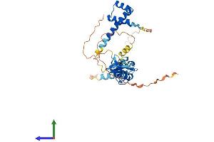 Protein Structure (PS) image for ISL LIM Homeobox 2 (ISL2) (AA 1-359) protein (His tag) (ABIN7560729)