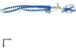 NOSTRIN Protein (AA 1-506) (His tag)