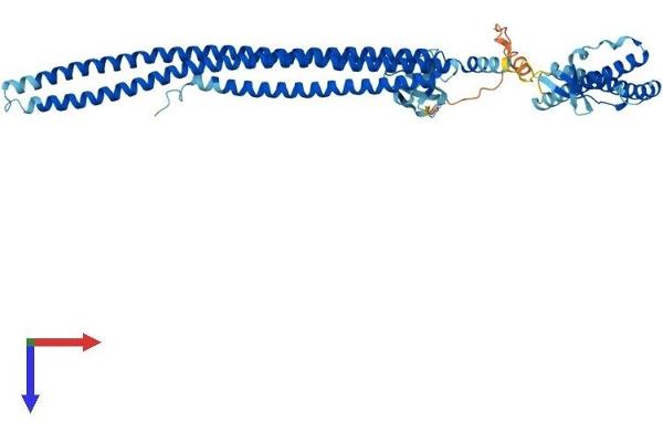 NOSTRIN Protein (AA 1-506) (His tag)