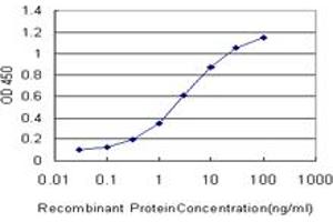 Detection limit for recombinant GST tagged CREB3 is approximately 0.