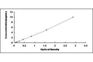 Typical standard curve (PCDHB16 ELISA Kit)