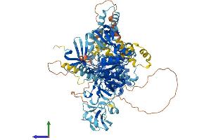 Protein Structure (PS) image for Calcium/calmodulin-Dependent serine Protein Kinase (MAGUK Family) (CASK) (AA 1-926) protein (His tag) (ABIN7562583)