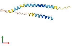 Protein Structure (PS) image for Chromosome X Open Reading Frame 61 (CXORF61) (AA 1-113) protein (His tag) (ABIN7548742)