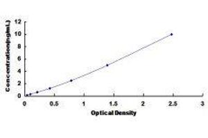 Deoxyribonuclease X (DNASEX) ELISA Kit