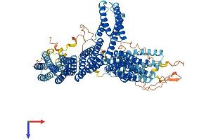 CTNNA2 Protein (AA 1-953) (His tag)