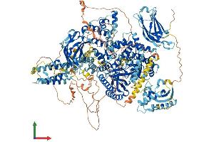 Protein Structure (PS) image for Phosphatidylinositol-4-Phosphate 3-Kinase, Catalytic Subunit Type 2 beta (PIK3C2B) (AA 1-1634) protein (His tag) (ABIN7554823)