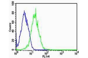 Flow cytometric analysis of HepG2 cells using T1 Antibody (C-term)(green, Cat(ABIN1944801 and ABIN2838504)) compared to an isotype control of mouse IgG1(blue). (PPT1 Antikörper  (AA 1-306))