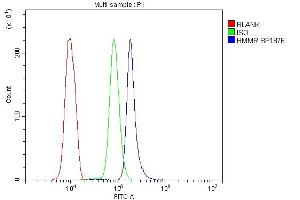 Flow Cytometry analysis of U937 cells using anti-HMMR antibody (ABIN7601892).