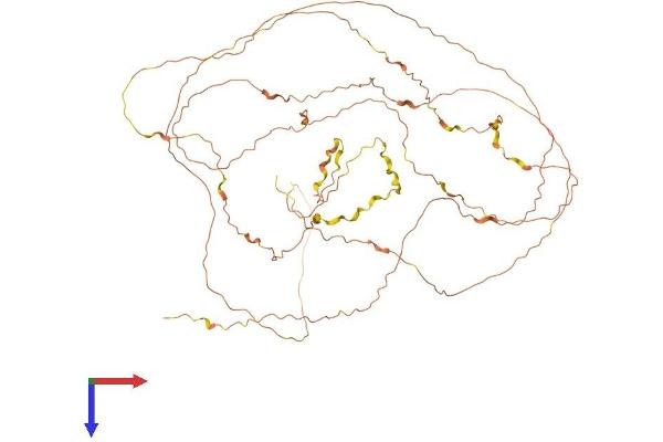 GNAS Protein (AA 1-626) (His tag)