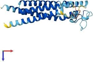 Tetraspanin 2 Protein (TSPAN2) (AA 1-221) (His tag)