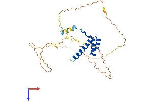 HOXA9 Protein (AA 1-271) (His tag)