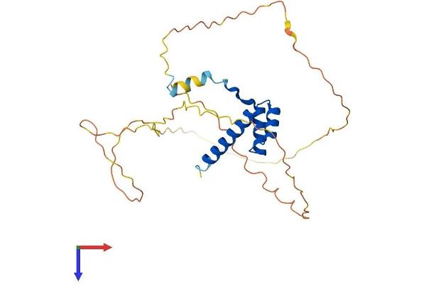 HOXA9 Protein (AA 1-271) (His tag)