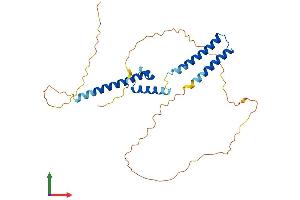 Protein Structure (PS) image for Ha-Ry/enhancer-of-Split Related with YRPW Motif 1 (HEY1) (AA 1-299) protein (His tag) (ABIN7565235)