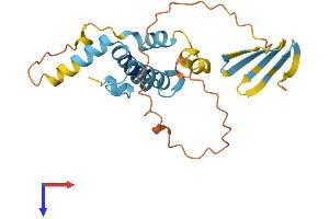 DNAJB8 Protein (AA 1-232) (His tag)