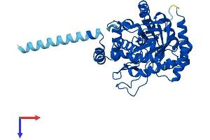 DHODH Protein (AA 1-395) (His tag)