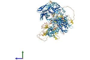 AlphaFold protein structure predicition of Human Recombinant NPHP4 Protein, UniprotID O75161