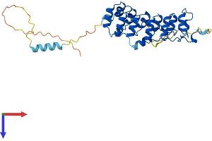 NFKBIA Protein (AA 1-314) (His tag)