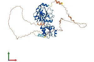 Protein Structure (PS) image for DNA Cross-Link Repair 1B (DCLRE1B) (AA 1-532) protein (His tag) (ABIN7553659)