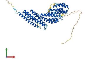 AlphaFold protein structure predicition of Human Recombinant EXOC3L2 Protein, UniprotID Q2M3D2