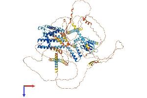 GARP Protein (AA 1-1251) (His tag)