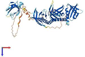 SNTB2 Protein (AA 1-540) (His tag)