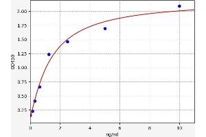 JNK2 ELISA Kit