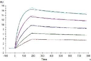 Surface Plasmon Resonance (SPR) image for Tumor Necrosis Factor Receptor Superfamily, Member 10c (TNFRSF10C) (AA 24-236) protein (His tag) (ABIN7275773)