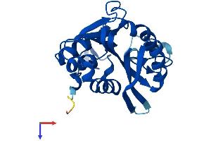 N6AMT1 Protein (AA 1-214) (His tag)
