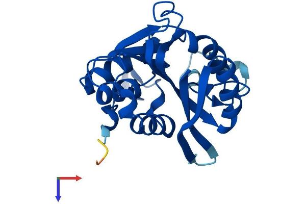 N6AMT1 Protein (AA 1-214) (His tag)