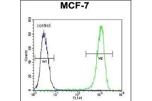 BCL10 Antibody (N-term) (ABIN654655 and ABIN2844351) flow cytometric analysis of MCF-7 cells (right histogram) compared to a negative control cell (left histogram). (BCL10 Antikörper  (N-Term))