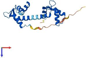 Centrin 1 Protein (AA 1-172) (His tag)