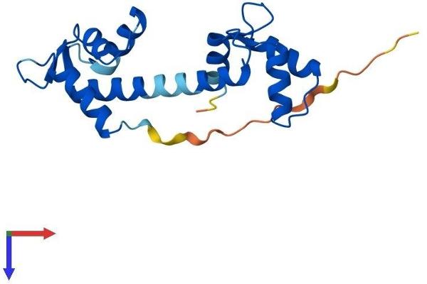 Centrin 1 Protein (AA 1-172) (His tag)