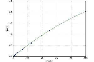A typical standard curve