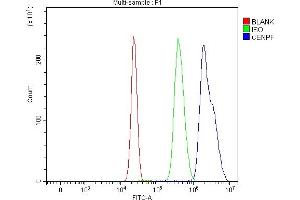 Flow Cytometry analysis of HepG2 cells using anti-CENPF antibody (ABIN7599912).