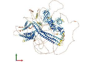 Protein Structure (PS) image for Dynamin Binding Protein (DNMBP) (AA 1-1580) protein (His tag) (ABIN7564150)