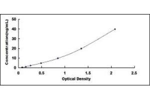 Typical standard curve (REG1A ELISA Kit)