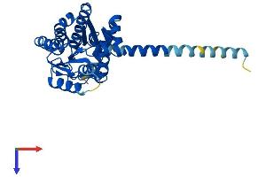 DHRS7B Protein (AA 1-323) (His tag)