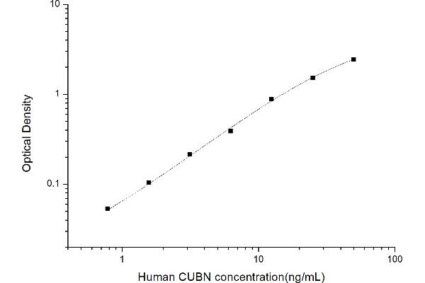 CUBN ELISA Kit