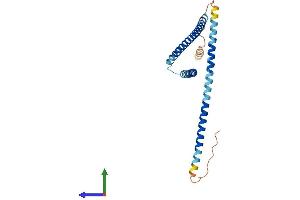 Protein Structure (PS) image for FGFR1 Oncogene Partner 2 (FGFR1OP2) (AA 1-253) protein (His tag) (ABIN7560629)