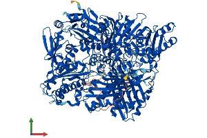 Protein Structure (PS) image for Aldehyde Oxidase 1 (AOX1) (AA 1-1338) protein (His tag) (ABIN7552123)