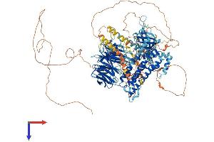 ARHGEF10L Protein (AA 1-1280) (His tag)