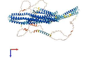 EVC Protein (AA 1-992) (His tag)