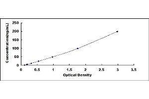 Typical standard curve (Ferritin ELISA Kit)