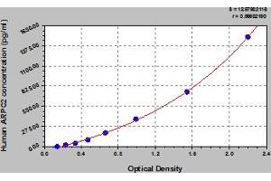 ARPC2 ELISA Kit