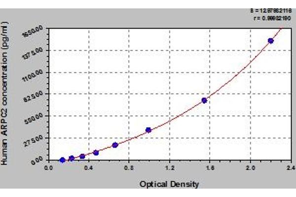 ARPC2 ELISA Kit