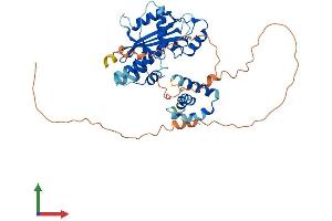 Protein Structure (PS) image for Maelstrom Spermatogenic Transposon Silencer (MAEL) (AA 1-434) protein (His tag) (ABIN7549291)